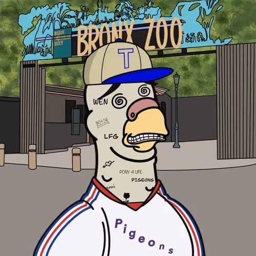 Pigeon #425