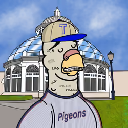 Pigeon #431