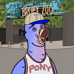 Pigeon #422