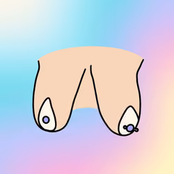 #497