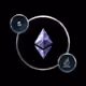 92088204