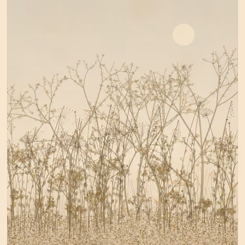 Perennial_0156
