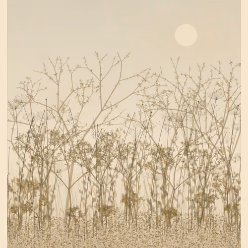 Perennial_0554