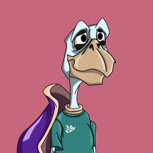 Shellshakaz