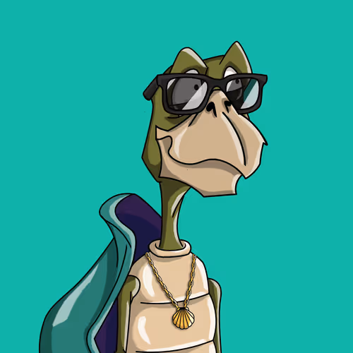 Shellshakaz