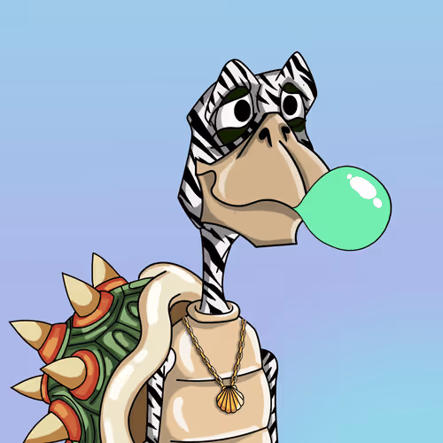 Shellshakaz