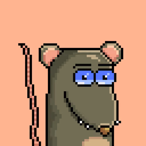 Random Rat #771