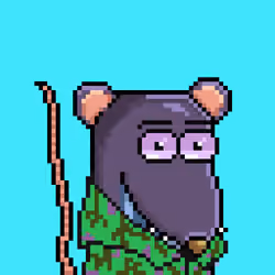 Random Rat #1358