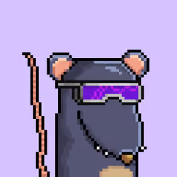 Random Rat #3271