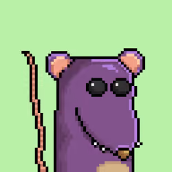 Random Rat #2970