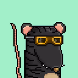 Random Rat #1353