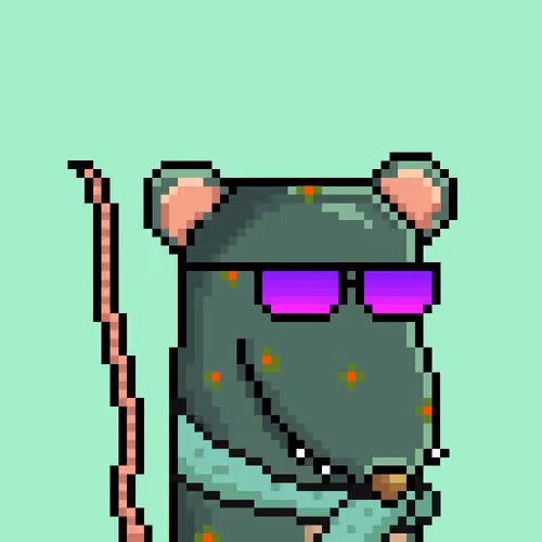 Random Rat #82