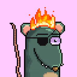 Random Rat #8