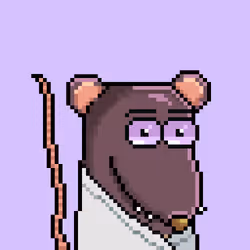 579