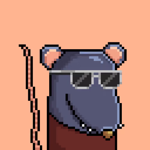 Random Rat #4803
