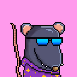 Random Rat #1354