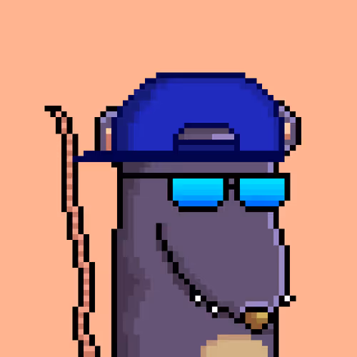 Random Rats