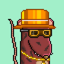 Random Rat #2842