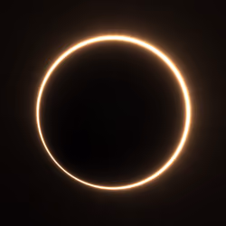 Totality #366