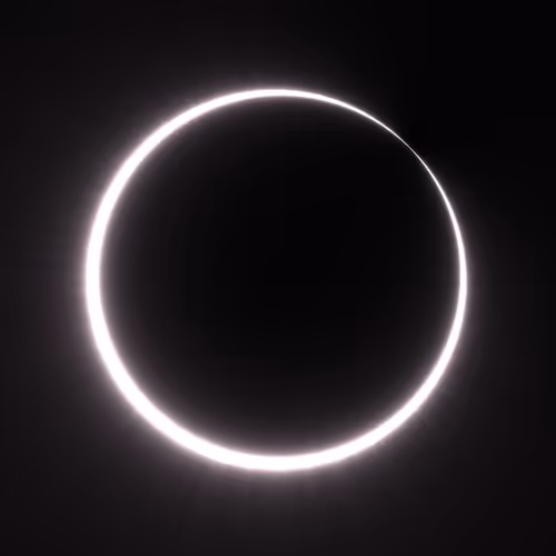 Totality #213