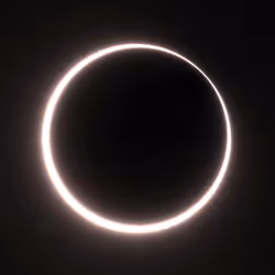 Totality #374