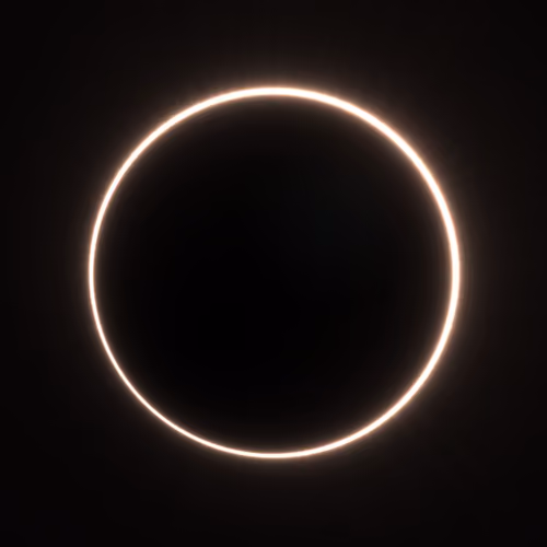 Totality #98