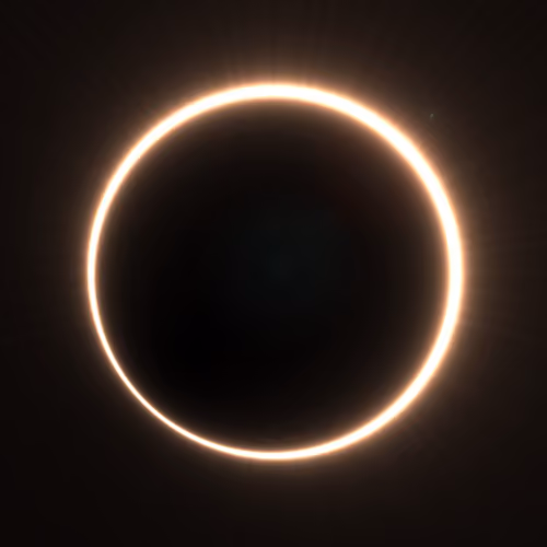 Totality #221