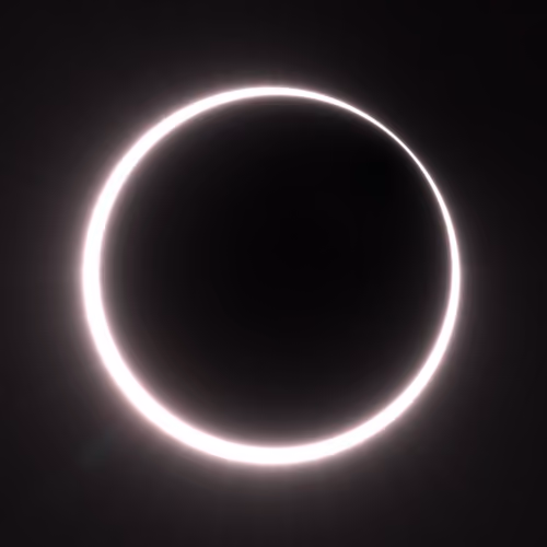 Totality #150