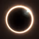 Totality #164