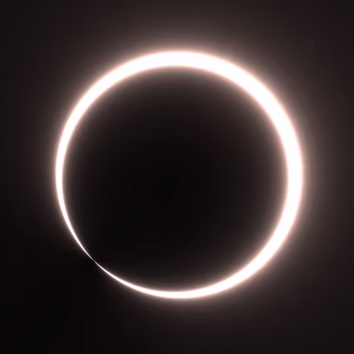 Totality #124