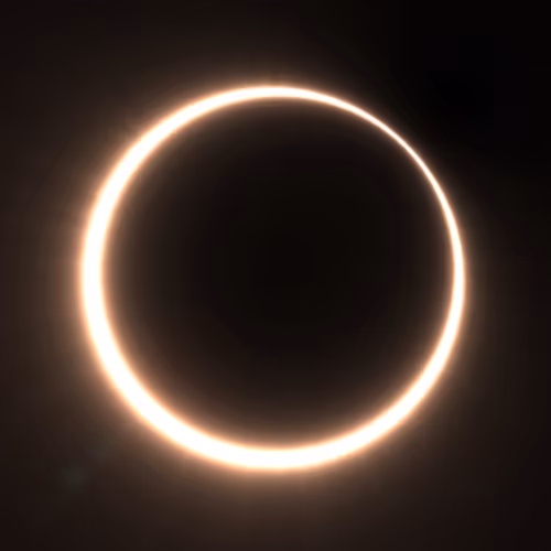 Totality #115