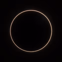 Totality #238