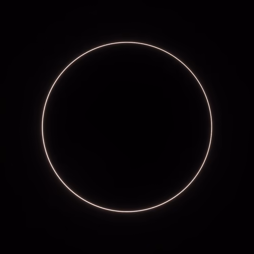 Totality #186