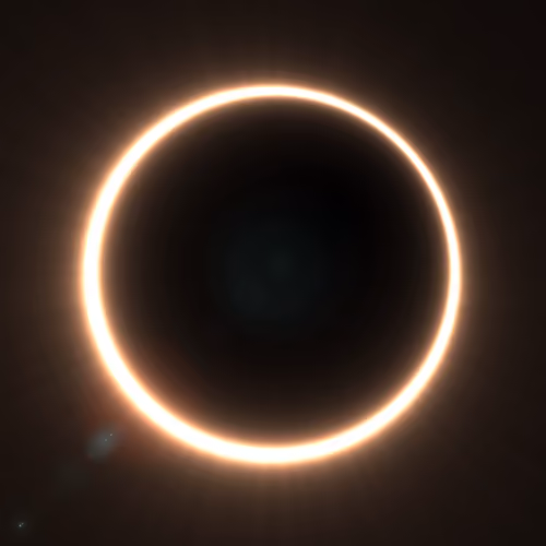 Totality #202