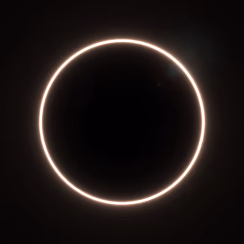 Totality #82