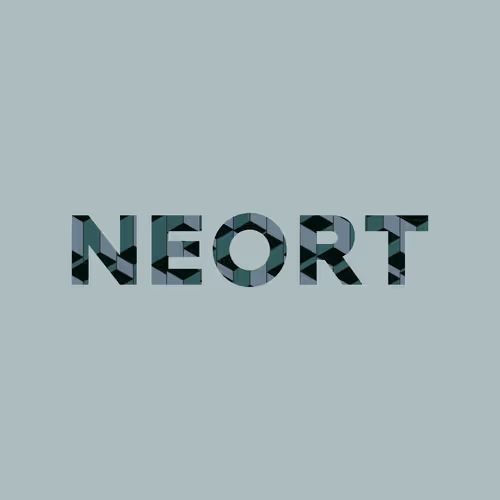 NEORT Vessel 2