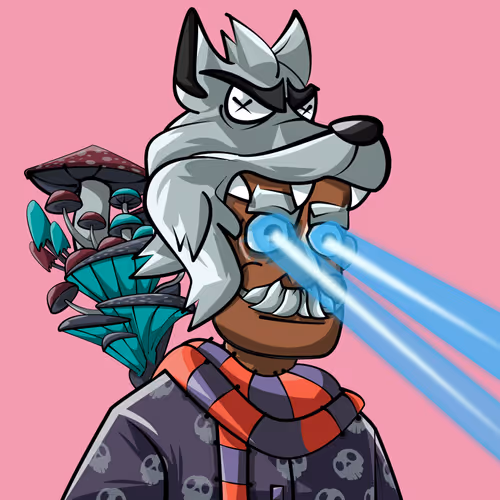 Wizard Treasure Collective