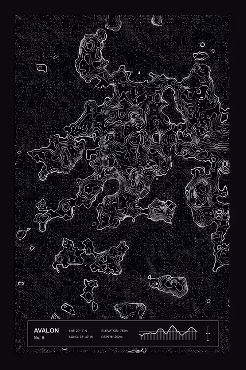 Item #347000006 Media