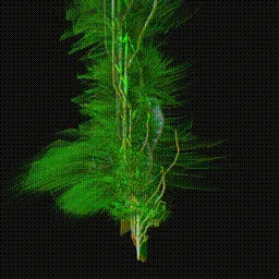 Item #279000094 Media