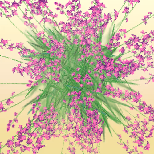 Item #308000277 Media