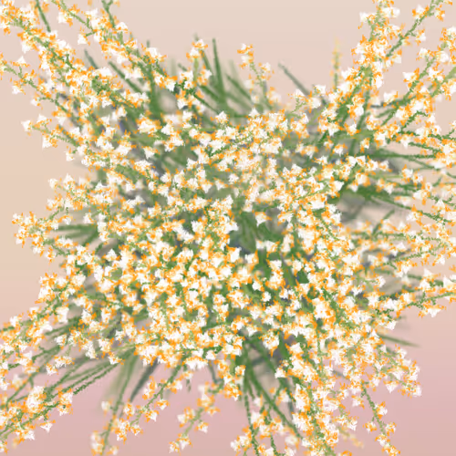 Item #308000087 Media