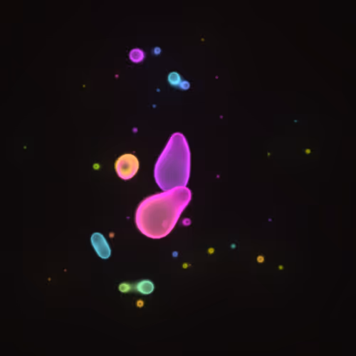 Item #62000446 Media