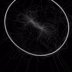 Phototaxis #589