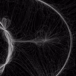 Phototaxis #647