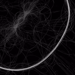 Phototaxis #238