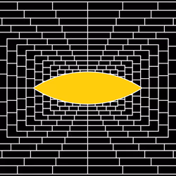 FOCUS #247