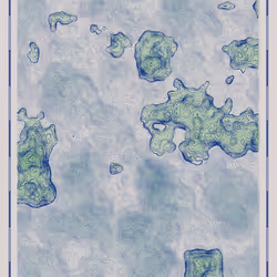 Avalon #26