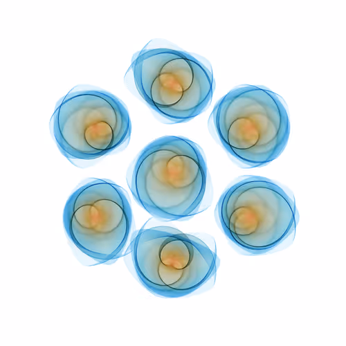 Flowers #1742