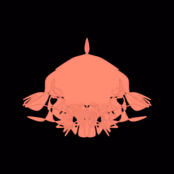 Cryptoblots #849
