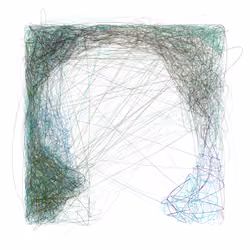 Scribbled Boundaries #310